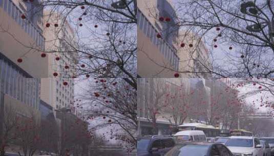 乌鲁木齐街景高清在线视频素材下载