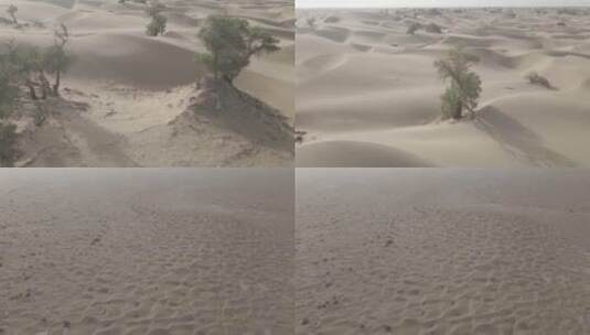 新疆沙漠风光沙堆沙群航拍实拍4K素材高清在线视频素材下载