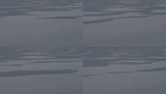 西湖湖水log高清在线视频素材下载