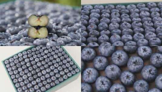 怡颗莓蓝莓高清在线视频素材下载