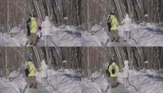 阿勒泰桦林公园雪景高清在线视频素材下载