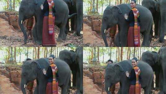 泰国的人民和大象高清在线视频素材下载