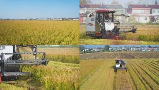 农忙收割机水稻高清在线视频素材下载
