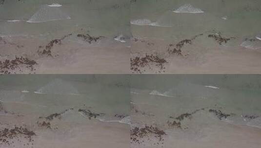 海滩航拍镜头高清在线视频素材下载