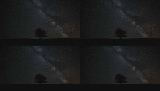 星空银河星夜下的一棵树高清在线视频素材下载