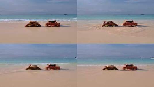 一对男女在泰国南部热带岛屿斯米兰的海滩上放松高清在线视频素材下载