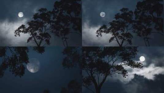中秋节树枝树梢月亮空镜高清在线视频素材下载