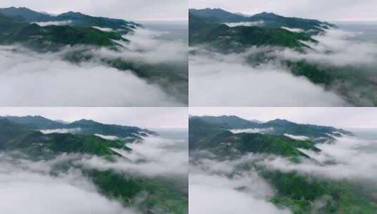 航拍森林云雾云海 秦岭山脉高清在线视频素材下载