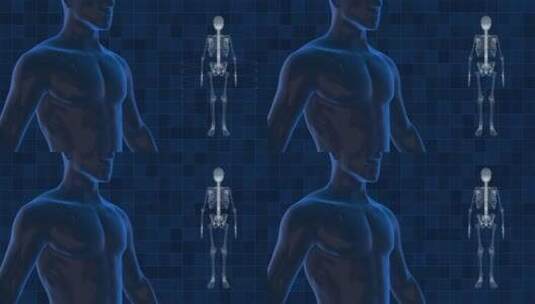 人体结构医学模拟的蓝图三维动画高清在线视频素材下载