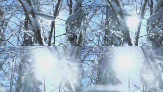雪花飘落在树林中慢镜头高清在线视频素材下载