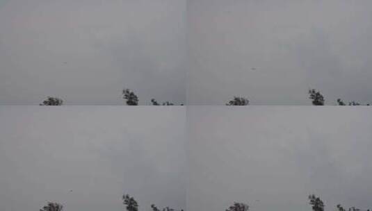 秋日萧瑟天空与风筝高清在线视频素材下载
