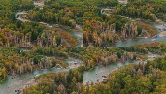 航拍树林中的河流高清在线视频素材下载