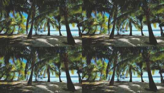 海边的椰树 度假海滩 旅游胜地高清在线视频素材下载