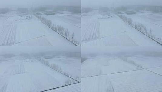 冬天被大雪覆盖的田地 2高清在线视频素材下载