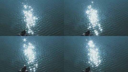 波光粼粼绿色水面 阳光洒在水面 1648高清在线视频素材下载