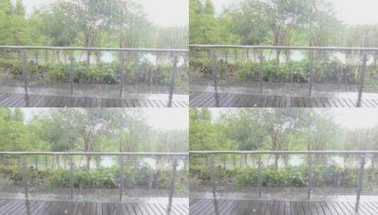 夏天树林下暴雨雨水雨滴视频素材空镜头高清在线视频素材下载