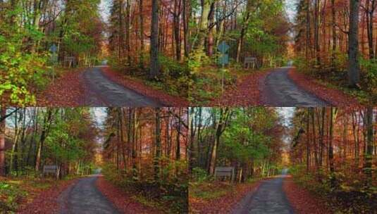 秋天穿过森林的沥青公路。秋天的运输高清在线视频素材下载