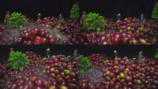 云南小粒咖啡 老蛙镜头 微距生豆咖啡高清在线视频素材下载