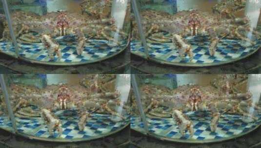活体新鲜海鲜螃蟹龙虾帝王蟹石斑鱼乌龟实拍高清在线视频素材下载