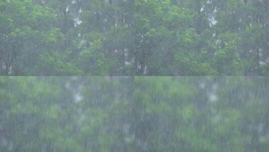 夏天雷雨大雨特写空镜高清在线视频素材下载