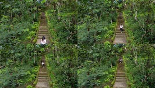 女孩在树林台阶登山运动高清在线视频素材下载