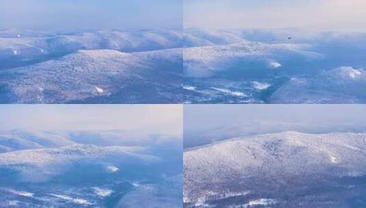 航拍林海雪原雾凇美景241231-1高清在线视频素材下载