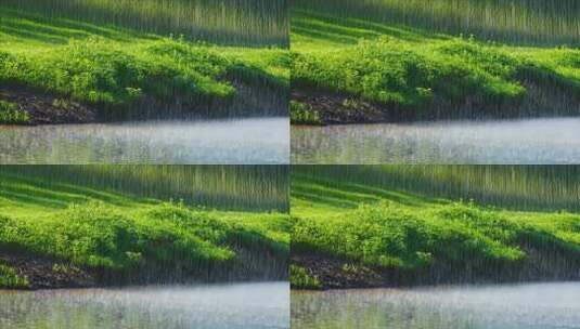 湖边草地降雨景象高清在线视频素材下载