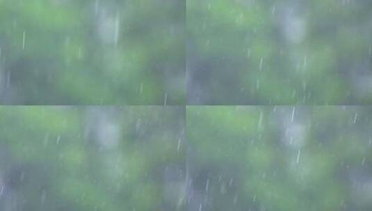 夏天雷雨大雨特写空镜高清在线视频素材下载