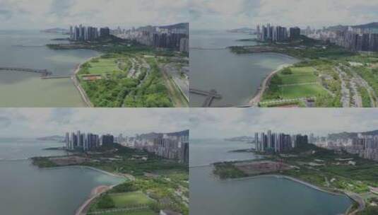 深圳湾公园高清在线视频素材下载