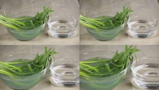 清洗浸泡韭菜 (15)高清在线视频素材下载