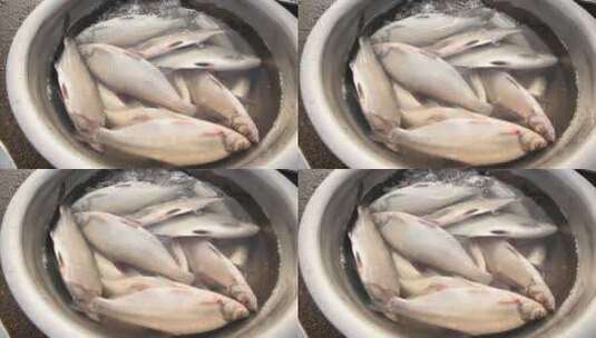 海鲜市场买鱼活鱼高清在线视频素材下载