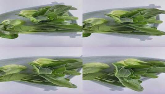 上海青蔬菜4K实拍视频高清在线视频素材下载