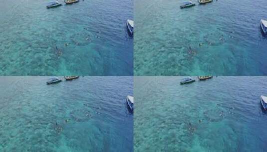 巴厘岛航拍视频高清在线视频素材下载