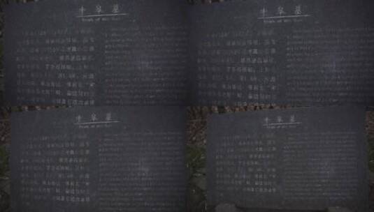 杭州宝石山景区牛皋墓景点高清在线视频素材下载