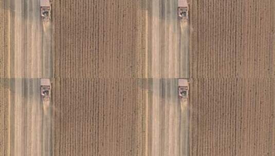 航拍俯拍芒种麦田收割机收割小麦高清在线视频素材下载