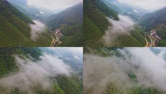 大山山脉峡谷云雾蒸气前进贴着树梢上升高清在线视频素材下载
