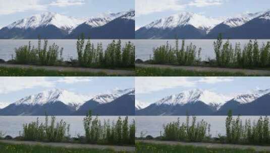 雪山周边的美丽景观高清在线视频素材下载
