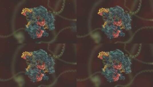 生物科学 基因编辑 DNA 基因工程 医学动画高清在线视频素材下载