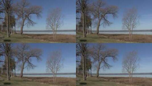 密歇根公园湖边的树木高清在线视频素材下载