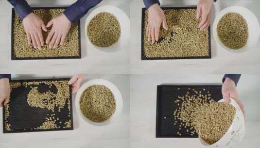 烘焙咖啡豆 挑选 4k.05高清在线视频素材下载
