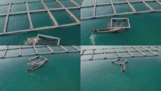 淡水鱼网箱养殖千岛湖胖头鱼养殖高清在线视频素材下载