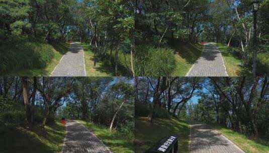 两边长满树的林间小路高清在线视频素材下载