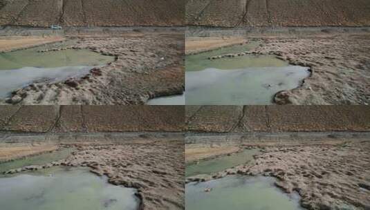 西藏旅游风光219国道盐碱地野鸭高清在线视频素材下载