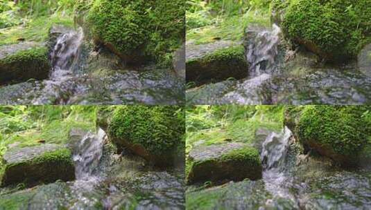 溪流-小河-水流-青苔自然生态高清在线视频素材下载