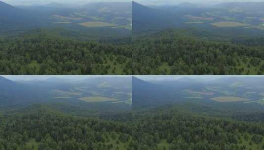 绿色森林和山谷高清在线视频素材下载