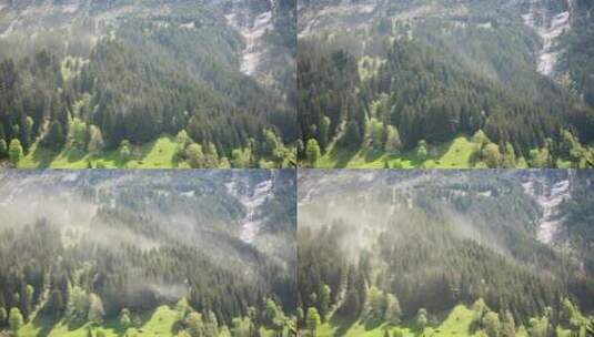 瑞士阿尔卑斯山格林德沃尔德焚风风暴中树木花粉的惊人延时高清在线视频素材下载