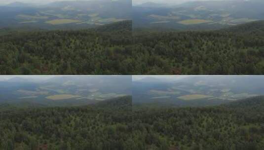 蓝天下的绿色森林和山谷高清在线视频素材下载