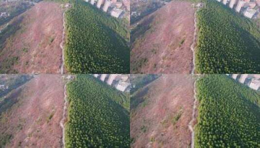 山东济南蝎子山绿色红色秋天风光景色航拍高清在线视频素材下载