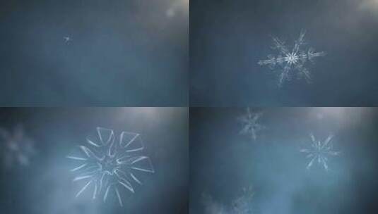 三维动画雪花变化下雪唯美雪花特写高清在线视频素材下载