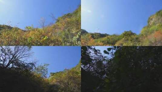 秦岭秋季风景高清在线视频素材下载